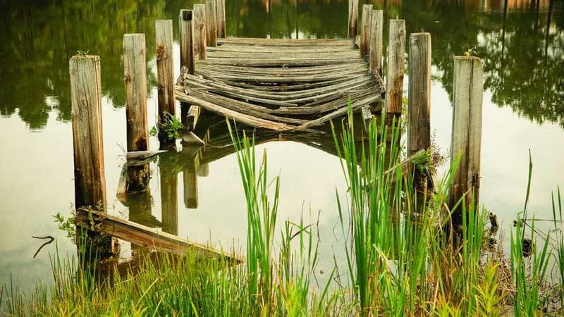 NDIS Mental Health Supports: What’s Available in 2024
