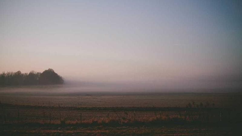 Understanding NDIS Support for Hearing and Vision Loss